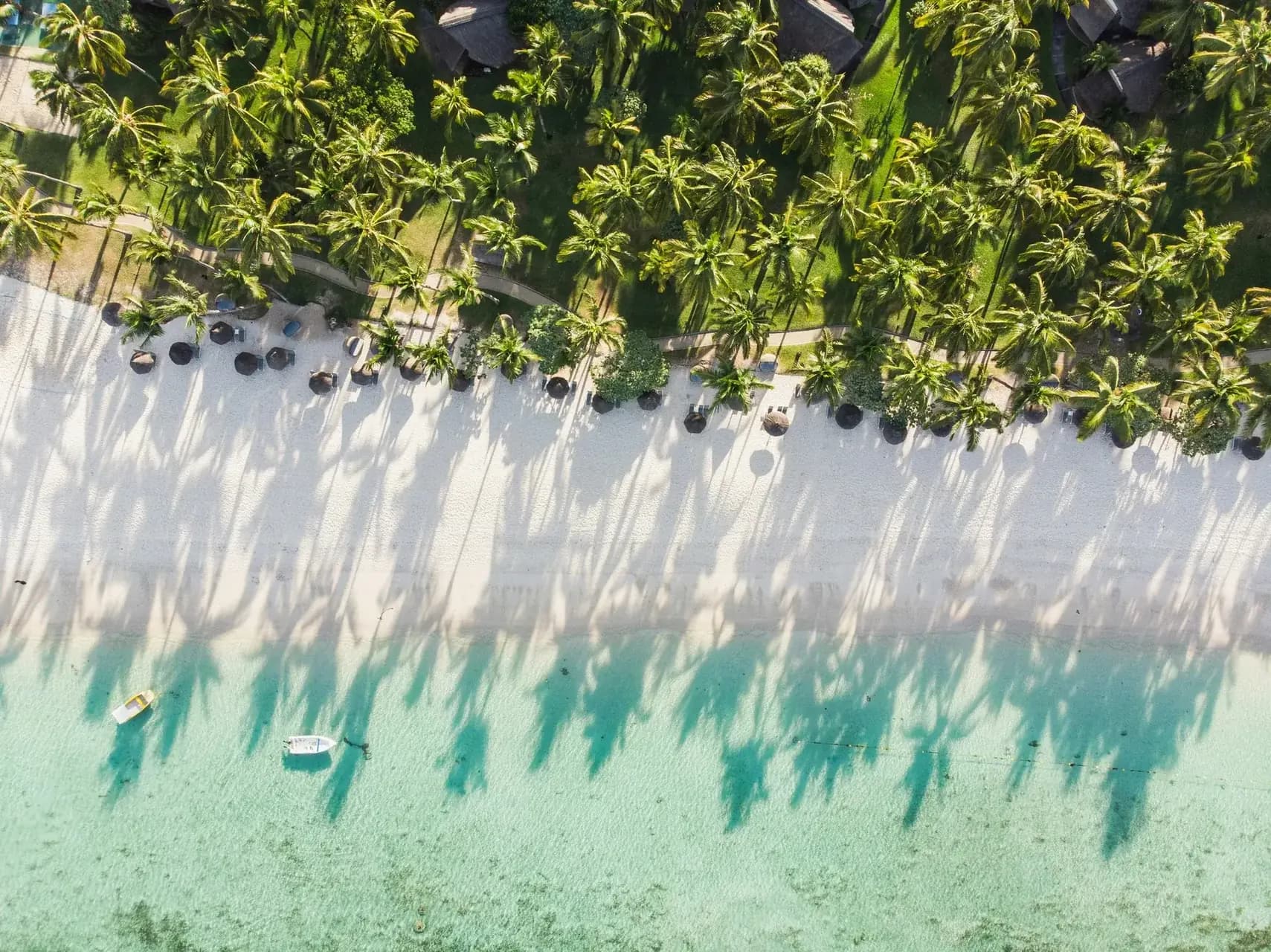 Aerial view of Mauritius white sand beach with palm tree shadows and turquoise lagoon